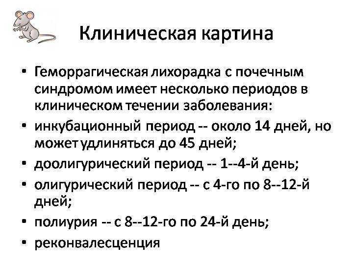 Геморрагическая лихорадка: причины и виды, симптомы, лечение
