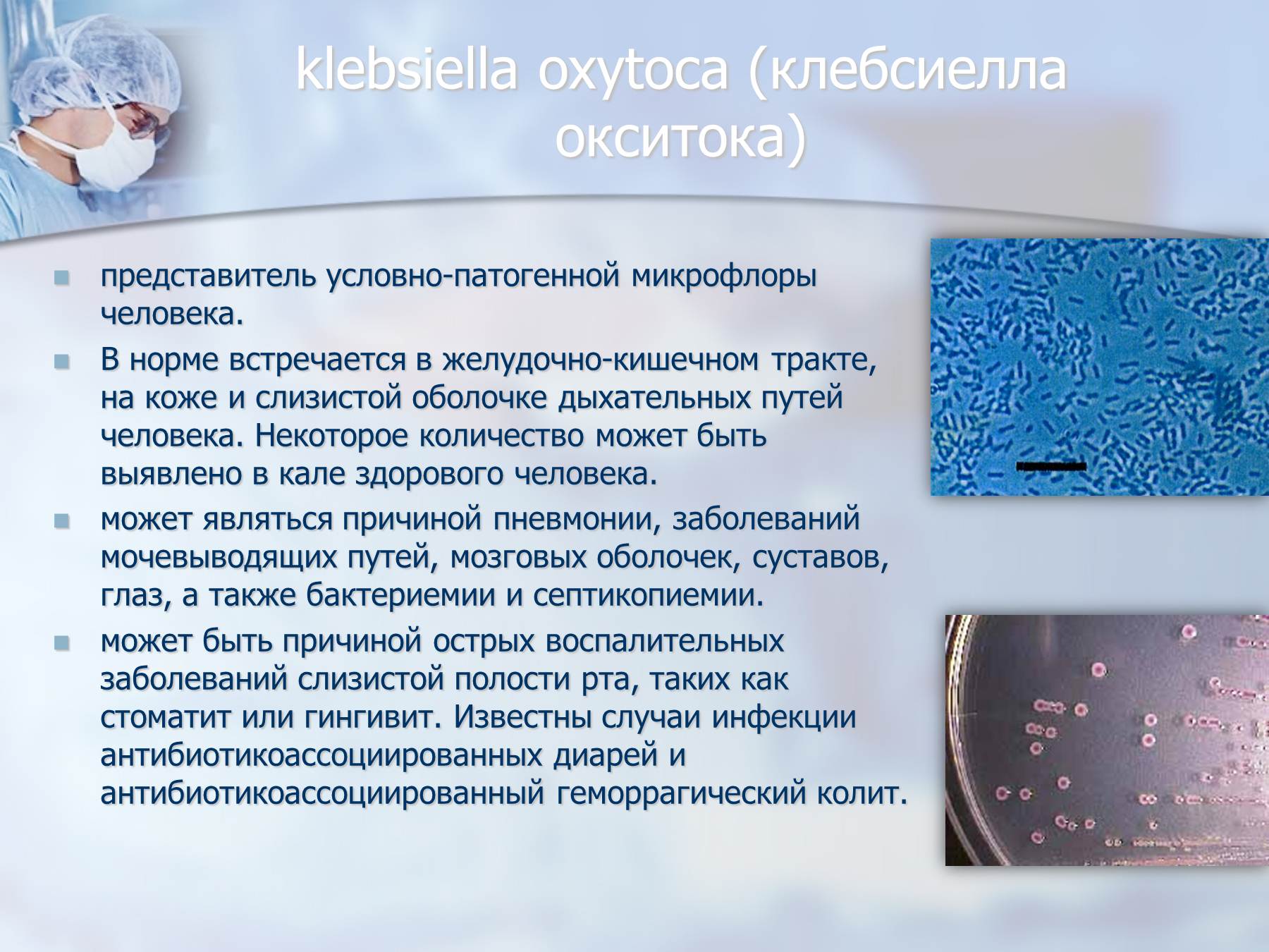 Клебсиелла – опасная бактерия для грудничка. симптомы и лечение.