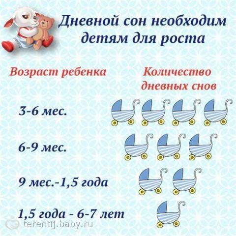 Когда ребёнок переходит на три дневных сна