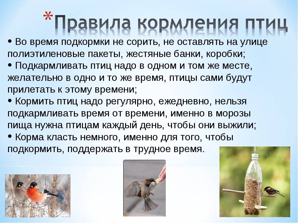 Почему нельзя отлучать летом? перестать кормить летом! | уроки для мам
