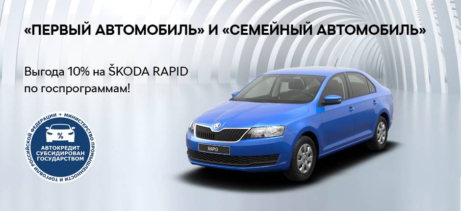 Skoda Rapid госпрограмма семейный автомобиль. Шкода Рапид 2019 вин. Выгода на автомобили. Коды красок Шкода Рапид 2019.