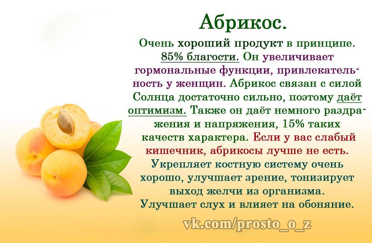 Польза фруктов для здоровья. Чем полезны абрикосы. Интересные фрукты. Абрикос для чего полезен. Чем полезны абрикосы для женщин.