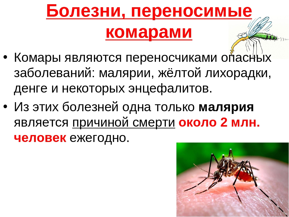 Что делать, если ребенка укусил комар или другое насекомое и весь глаз опух: как снять отек века после повреждения?
