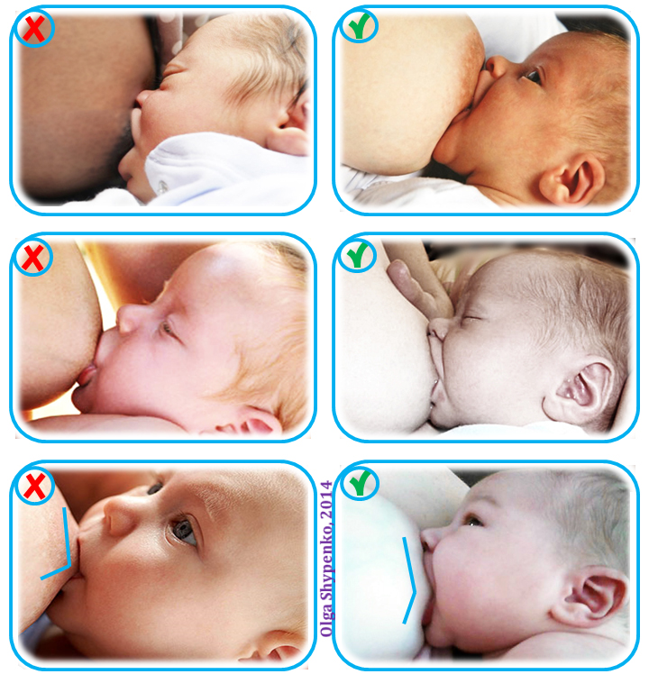 Как научить новорожденного ребенка правильно брать грудь