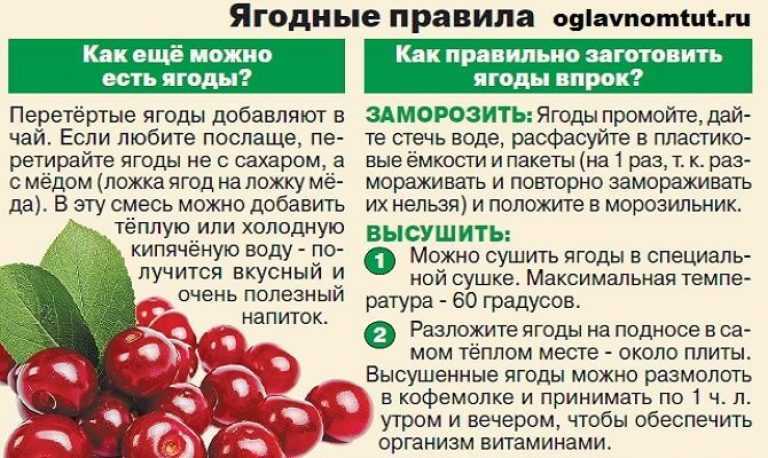 Можно ли вишню при грудном вскармливании