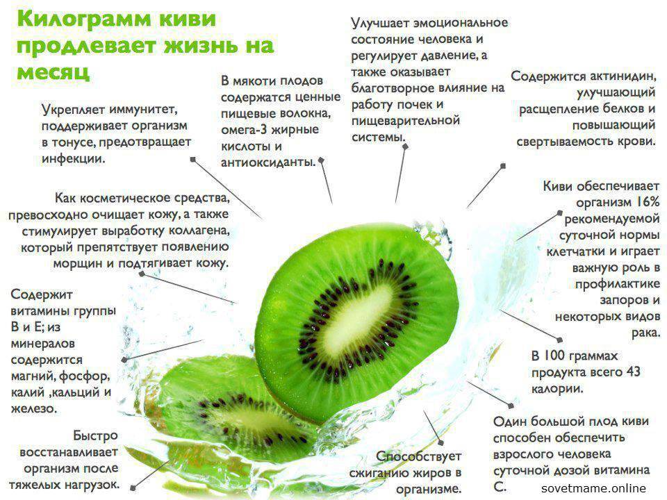 Польза киви для организма женщины - применение при беременности, в косметологии, рецепты блюд