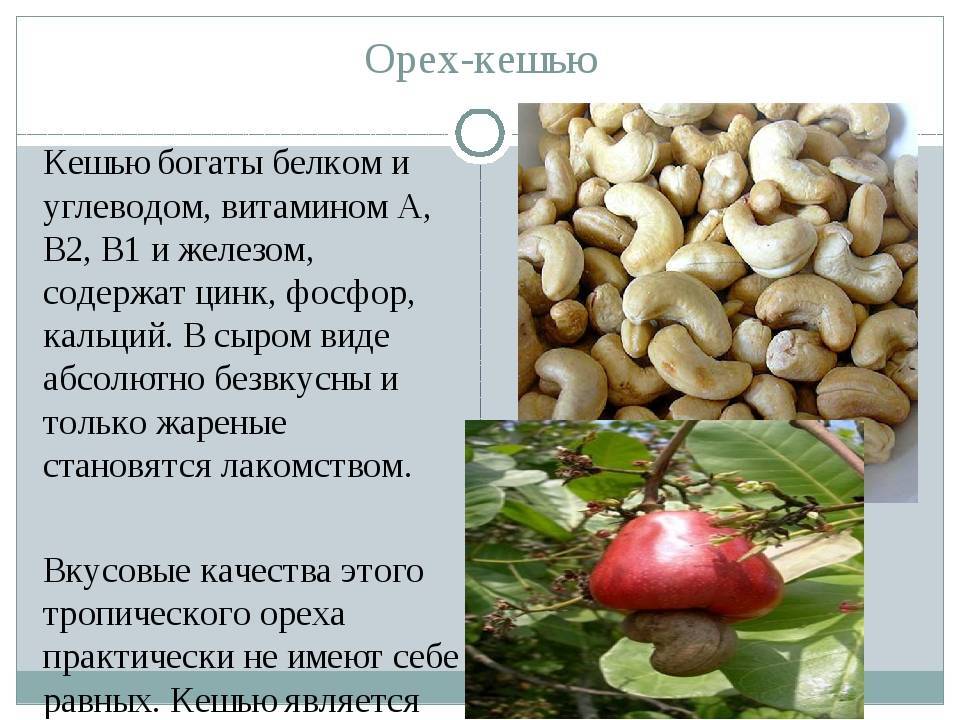 Кешью при грудном вскармливании - мамины новости