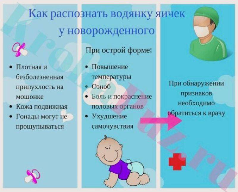 Водянка яичек у новорожденных мальчиков — что это, симптомы и лечение
