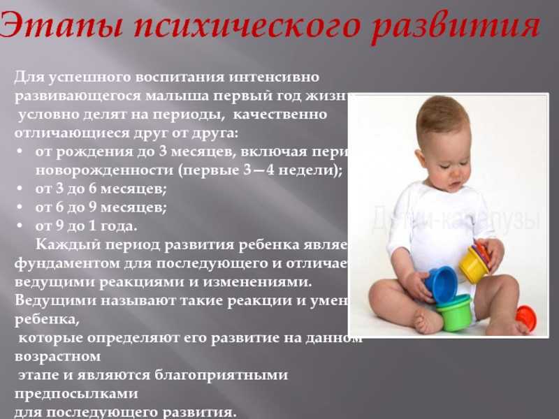 Энциклопедия мам