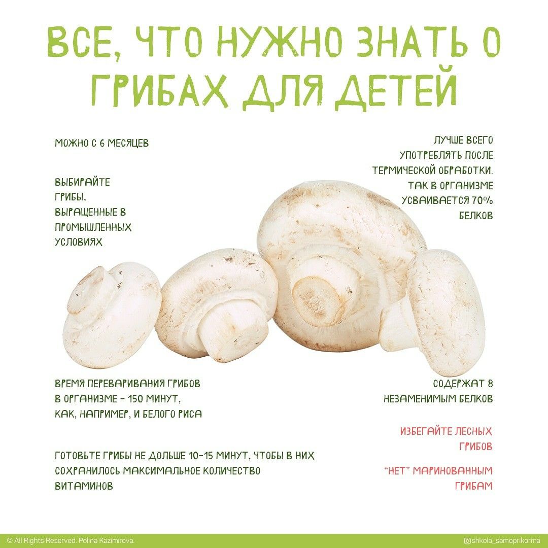 Вешенки и шампиньоны для детей: когда можно давать грибы
