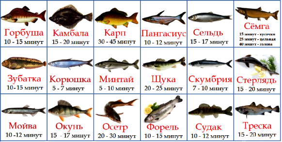 Рыба на пару сколько минут. Сколько варить рыбу. Сколько минут варить рыбу. Какую рыбу можно детям. Сколько варить красную рыбу.