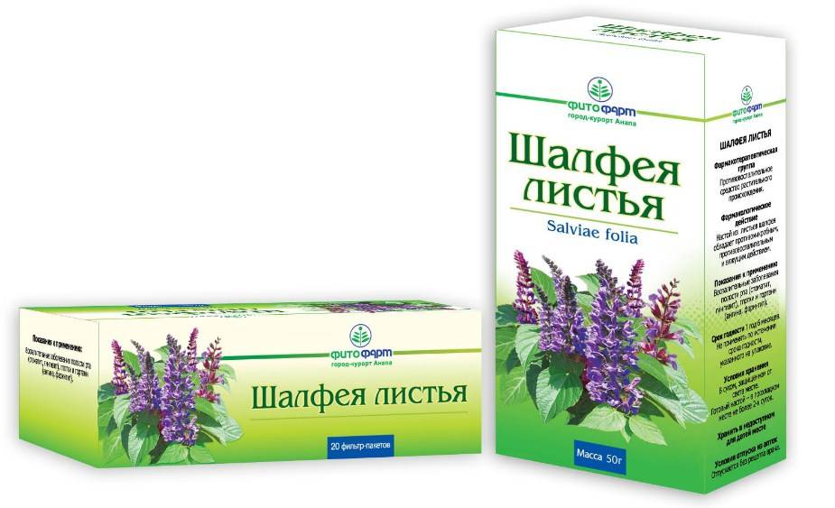 Эффективно ли применение шалфея для прекращения лактации, как его принимать при грудном вскармливании и что говорят отзывы?