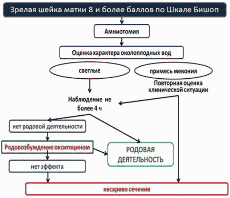 Подготовка шейки матки к родам