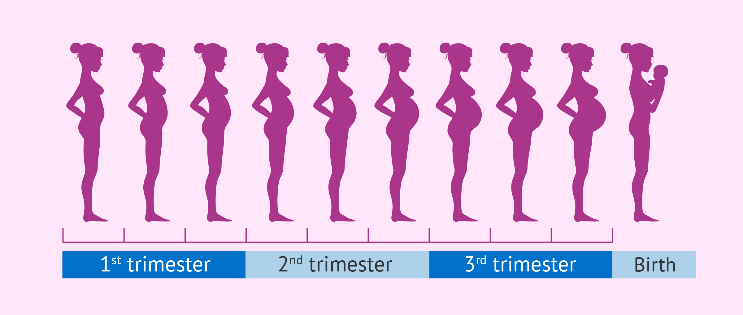 Второй триместр беременности: гармония и активность