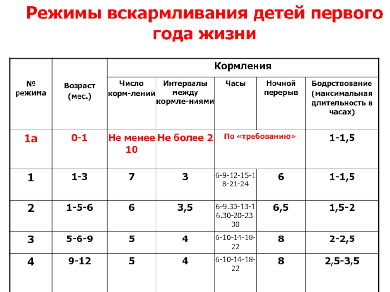 Все о кормлении новорожденных в первые дни жизни. график кормления грудью и смесью