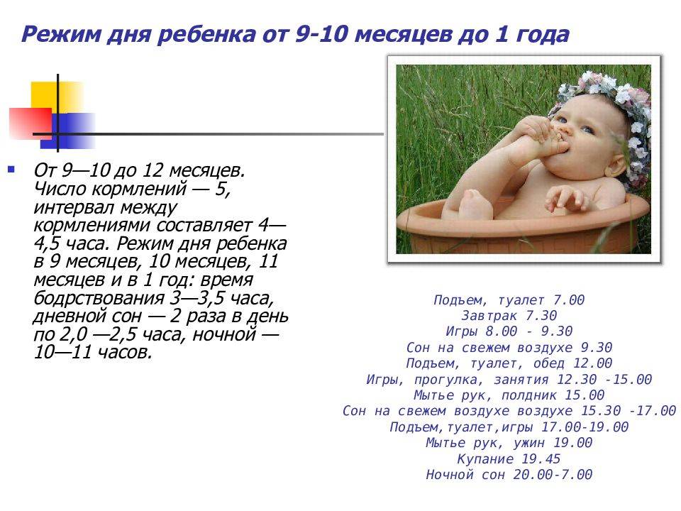 Режим сна ребёнка в 9 месяцев|ваш ребенок