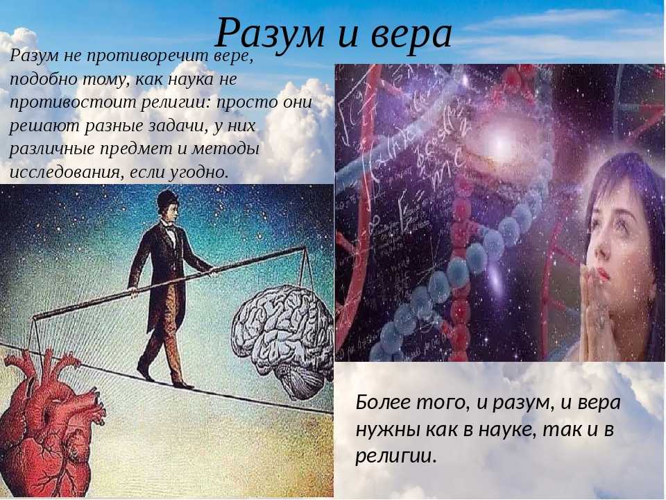 Человек признается вершиной божественного бытия. Человеческий разум. Божество разума. Разум есть.