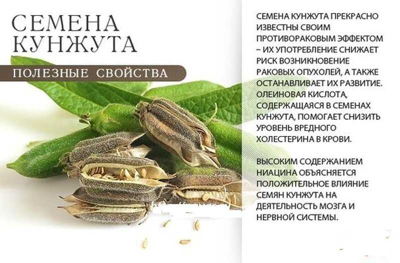 Чем полезен кунжут и можно ли давать его ребенку?