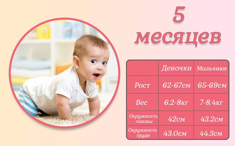 Развитие ребенка в 5 месяцев: что должен уметь | развитие малыша (девочки и мальчика) в 5 месяцев развитие ребенка в 5 месяцев: что малыш умеет делать