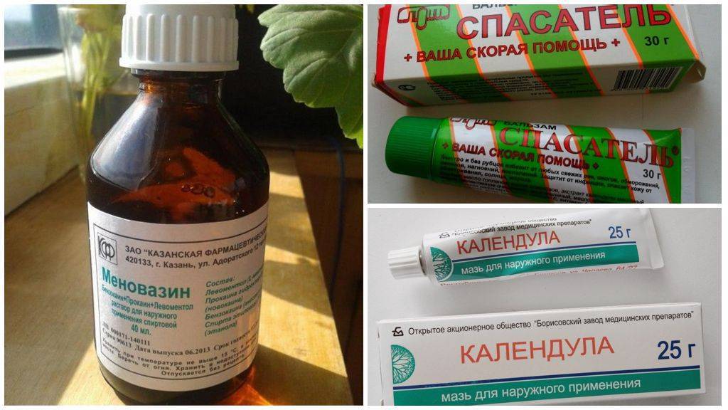 6 надежных народных средств от укусов комаров и зуда: лучшие рецепты