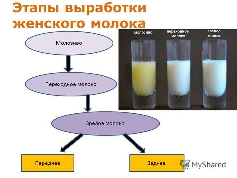 Какого цвета должно быть грудное молоко?