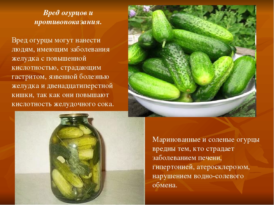 Можно ли кормящей маме огурцы | можно ли кушать огруцы при грудном вскармливании