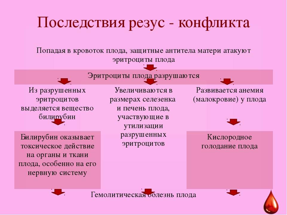 Резус конфликт при беременности: таблица по группам крови, симптомы при первом и втором вынашивании, последствия для ребенка, профилактика