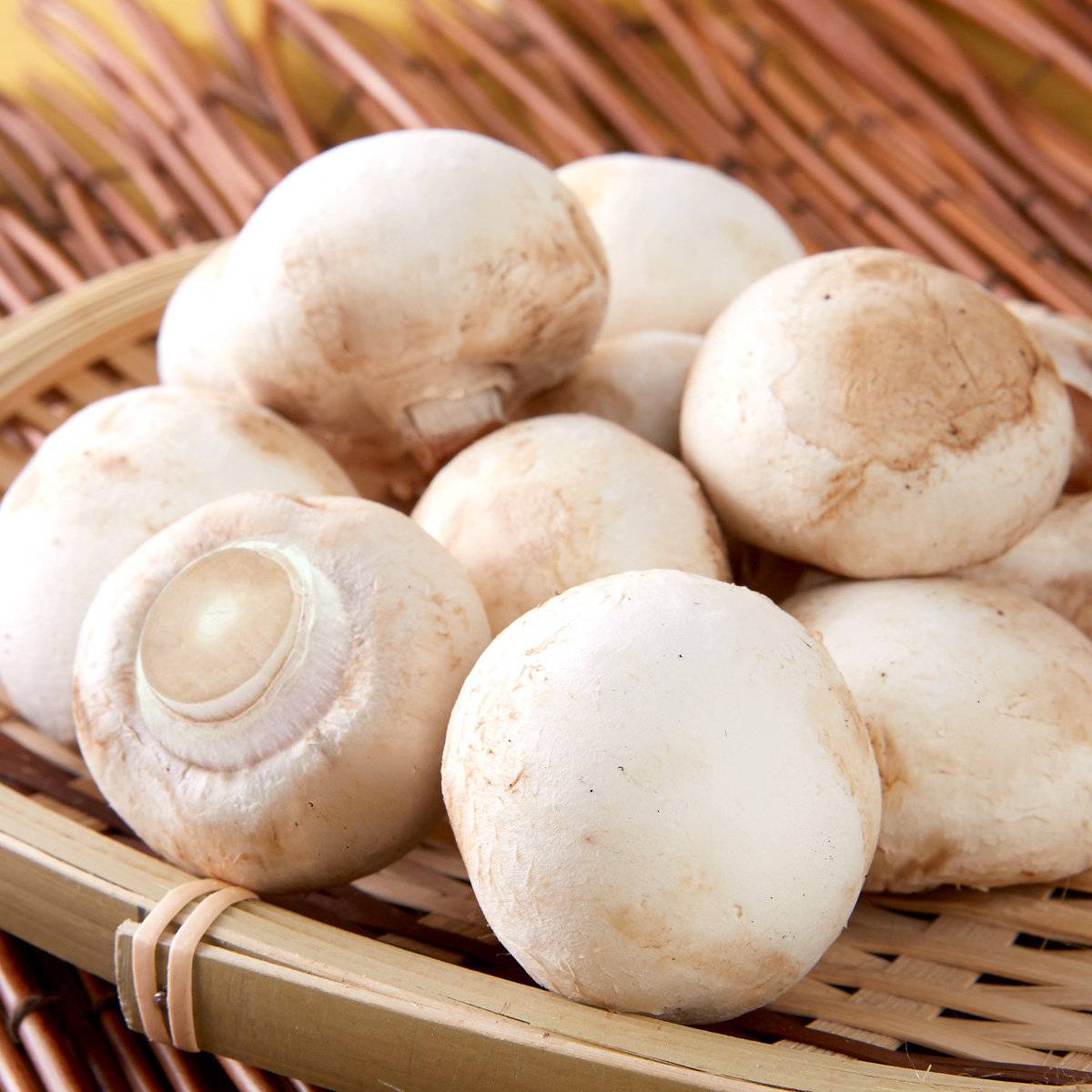 Есть грибы беременной. Грибы корейские белые. Можно ли грибы беременным. Грибы можно беременным. Mushroom Packaging.