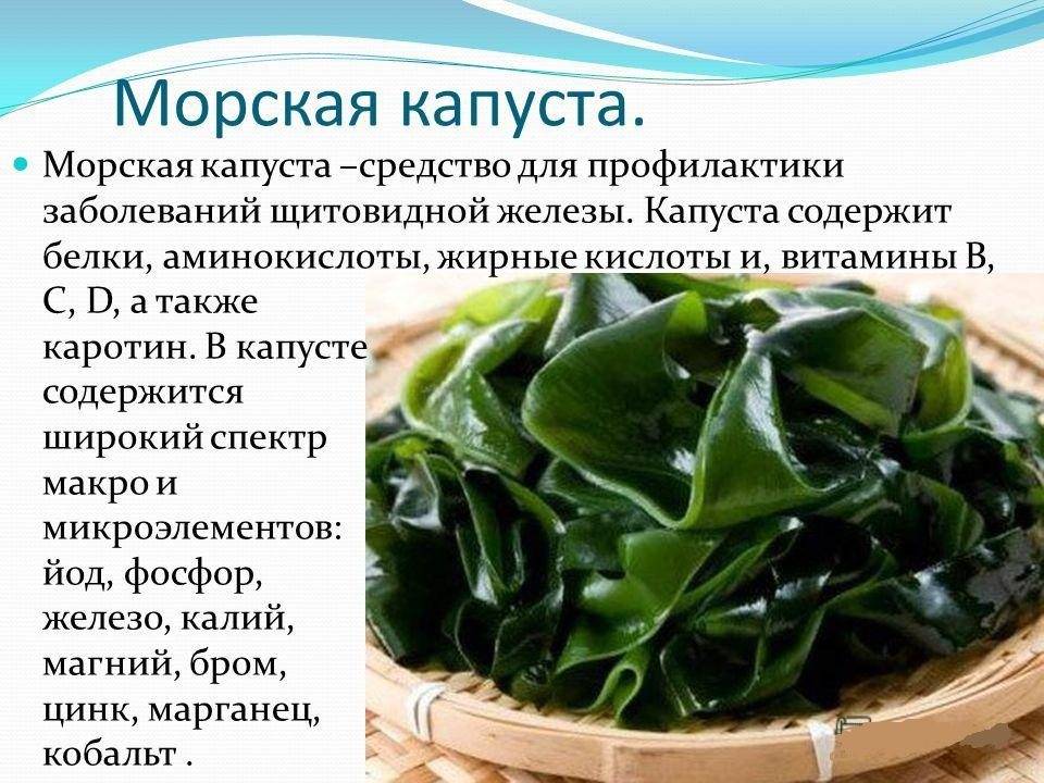 Морская капуста при беременности противопоказания