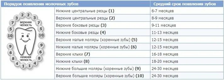 Что нужно знать родителям о прорезывании верхних зубов у детей