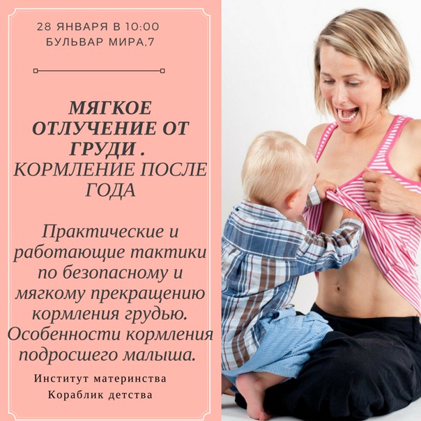 Завершение гв после года - мой опыт | блогомамочка