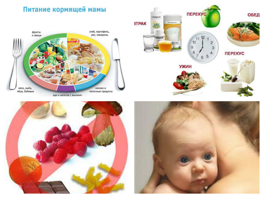 Пищеварение новорожденного ребенка