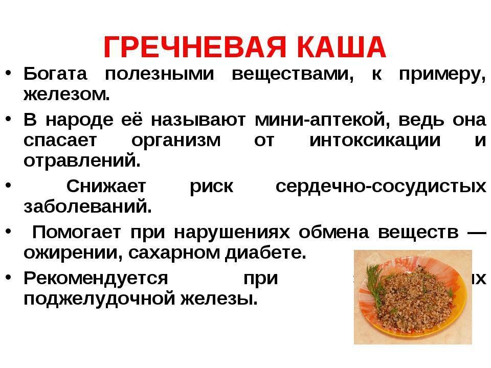Зеленая гречка для беременных. чем полезна гречка во время беременности и при лактации