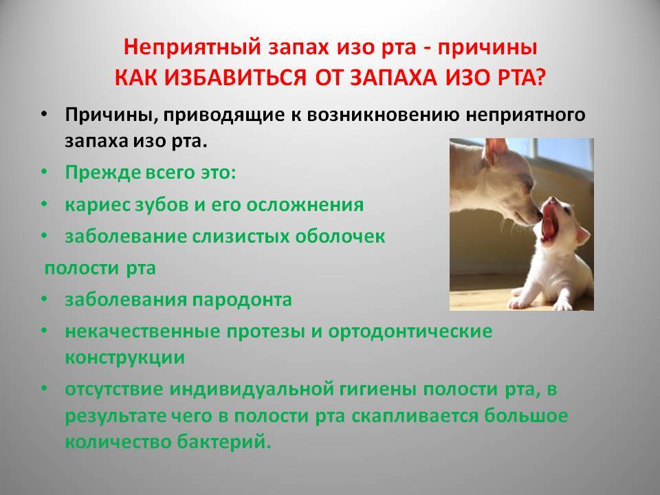 Неприятный запах изо рта у ребенка: причины и способы устранения