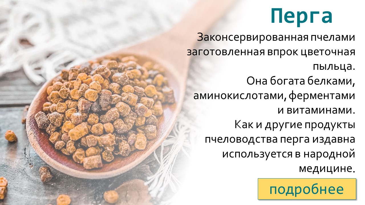 Пчелиная перга: польза и вред, что это такое, советы по применению