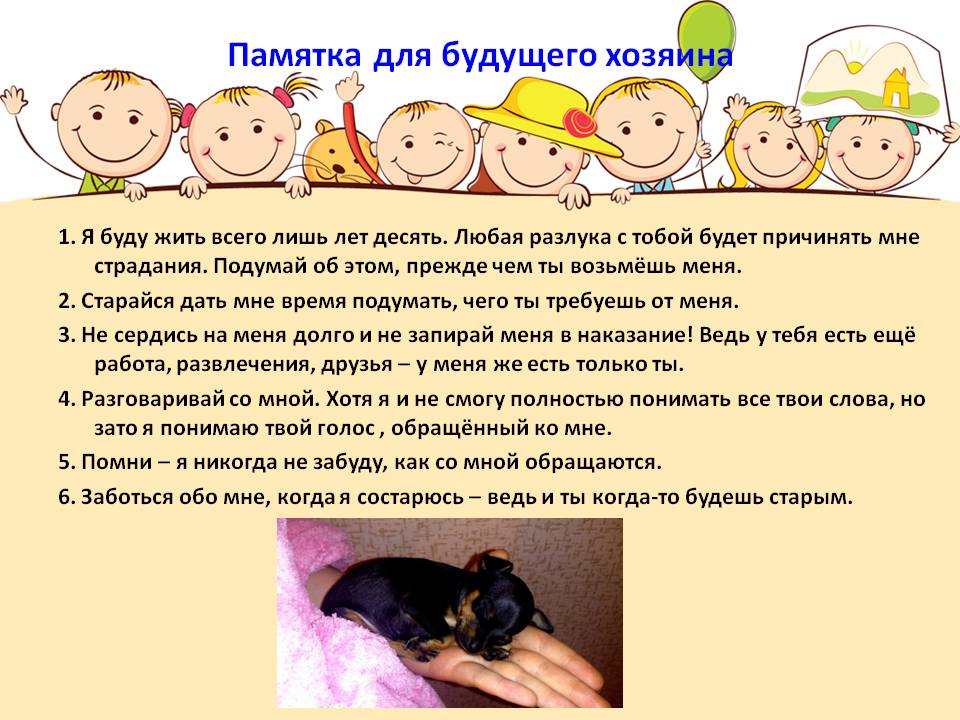 Какое домашнее животное завести ребенку: кто из питомцев лучше для квартиры