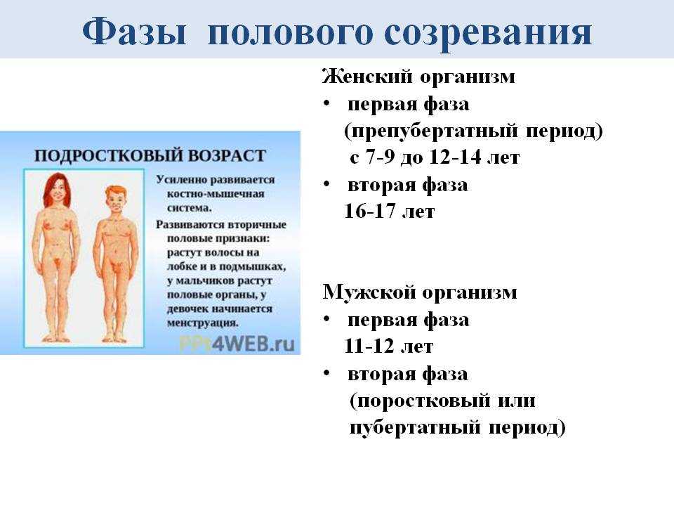 Половое созревания девочек | период полового созревания - когда начинается, каковы признаки | o.b.®
