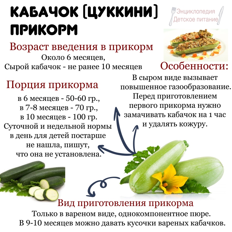 Кабачок для первого прикорма: как приготовить пюре, как заморозить на зиму, сколько варить, рецепт