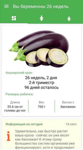 С какого возраста можно давать баклажаны ребенку: как приготовить