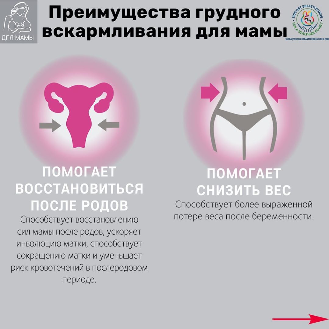 Польза и вред грудного вскармливания