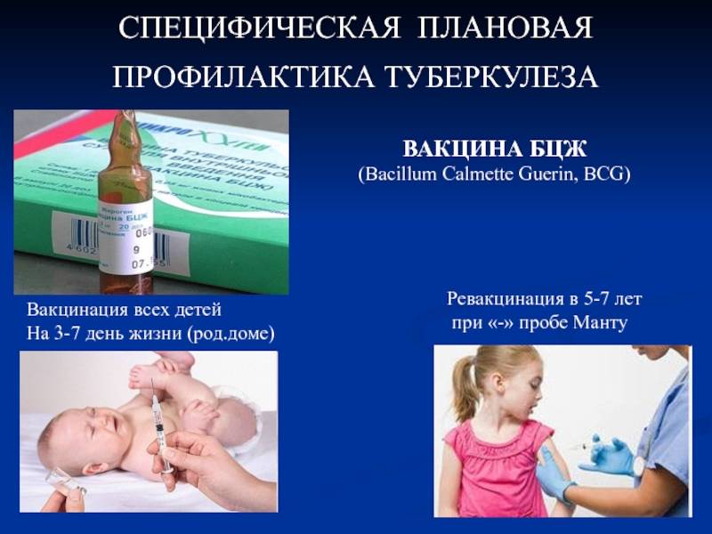 Реакция на прививку бцж