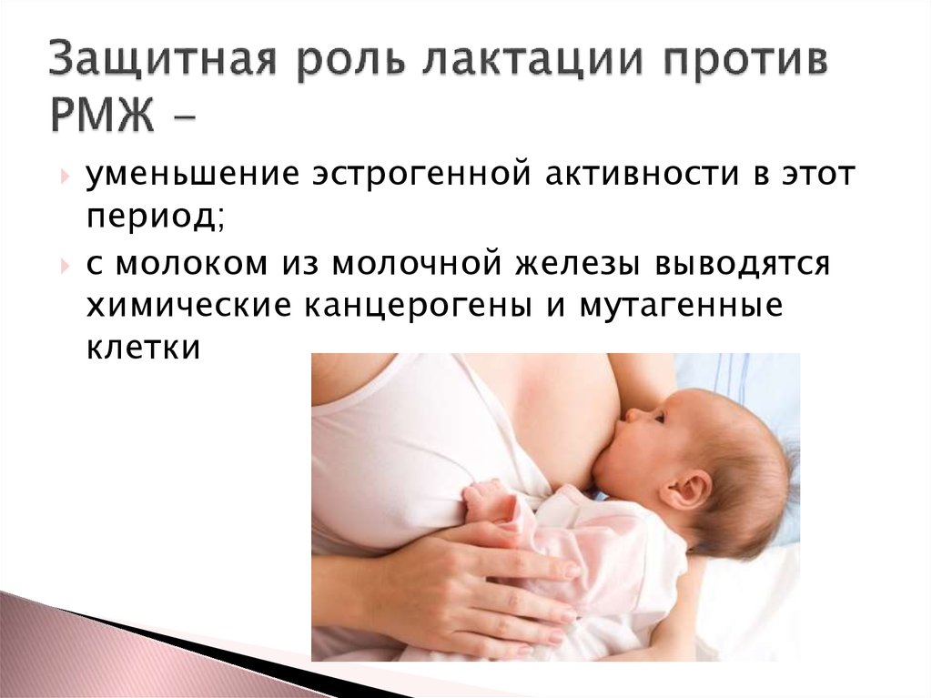 Что такое лактация, правила поведения