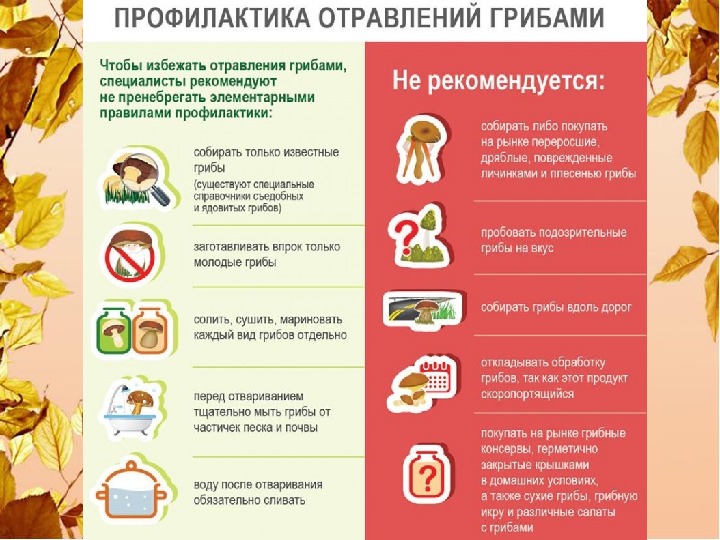 Почему детям нельзя грибы, можно ли детям грибы в принципе
