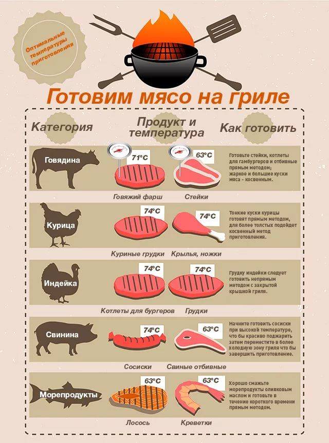 Можно ли при грудном вскармливании шашлык и другие блюда из свинины, курицы и прочих видов мяса, рецепты приготовления