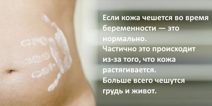 Почему во время беременности чешется живот и возникает сыпь: возможные причины зуда и высыпаний, как с этим бороться, профилактические меры
