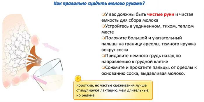 Как перетягивать грудное молоко правильно: инструкция, фото перевязки