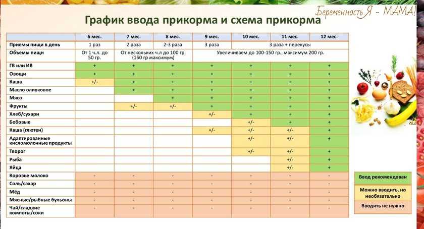 Правила ввода педагогического прикорма при грудном вскармливании