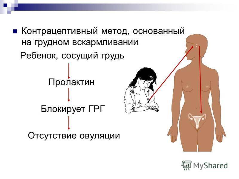 Гормоны после родов: что с ними происходит, когда придут в норму, какие сдают, какие проверить, если сбой, для анализа щитовидной железы, релаксин, как восстановить у женщин