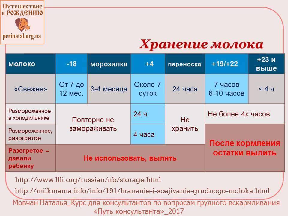 Важно знать! сколько хранится грудное молоко в холодильнике и при комнатной температуре