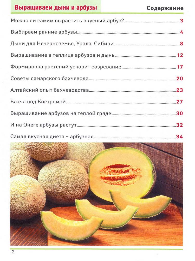 С какого возраста можно давать ребенку дыню и в каком количестве: что говорят педиатры. дыня: ребенку до года можно? - автор екатерина данилова - журнал женское мнение
